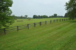 Property View - Country homes for sale and luxury real estate including horse farms and property in the Caledon and King City areas near Toronto